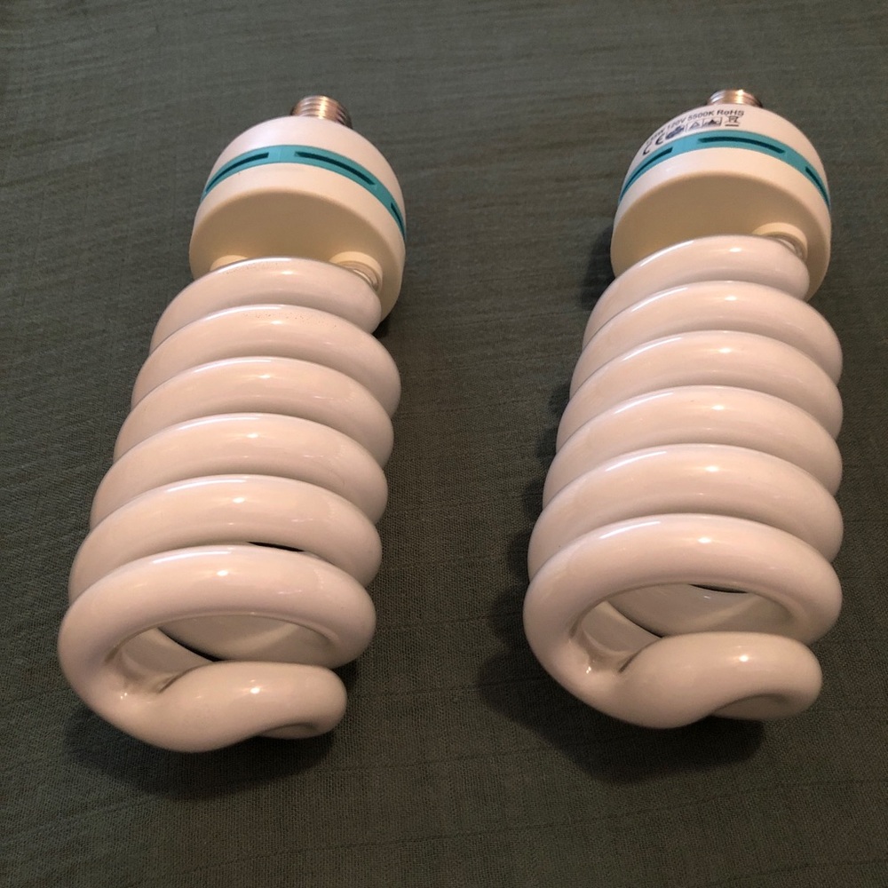 Two Used Studio Light Bulbs - Picture 3 of 4